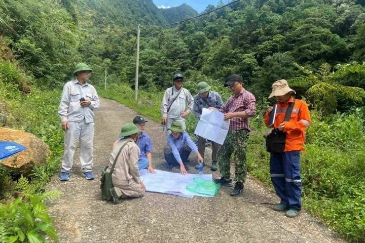 Vietnam discovers 12 gold mines in Central-Central Region
